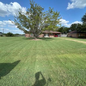 yard care by Gulliver Gardens reviewed on August 8, 2024