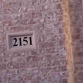 Bush Trimming by Trimmed and True reviewed on December 8, 2025