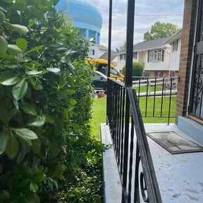 Bush Trimming by Sergio's Landscaping reviewed on April 18, 2026