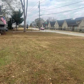 Leaf Removal by Otero's lawnmower reviewed on April 19, 2026