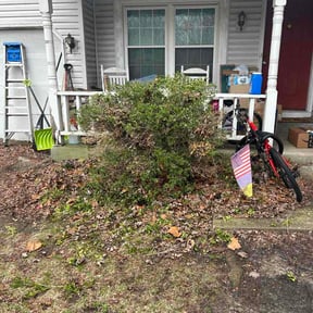 Bush Trimming by Brothers Lawncare reviewed on March 6, 2026