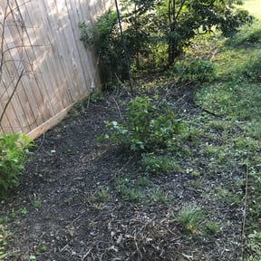Flower Bed Weeding by Lawn Junkies LLC reviewed on August 18, 2025