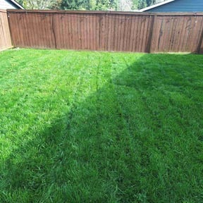 yard care by Gentle Blades (keep it cut) reviewed on November 20, 2025