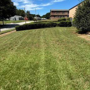 lawn service by M-N-M Lawn care service reviewed on October 20, 2023