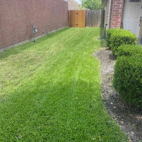 yard work by MKP Services reviewed on August 19, 2025