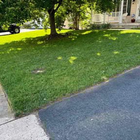 Flower Bed Weeding by lone wolf services reviewed on May 7, 2022