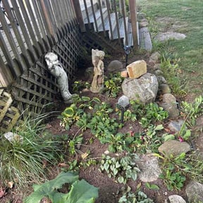 Leaf Removal by D&amp;D Lawn Care reviewed on May 29, 2026