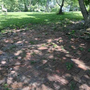 Leaf Removal by Croc Landscape Corp reviewed on September 16, 2026