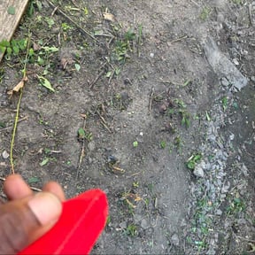 Flower Bed Weeding by BG landscaping reviewed on November 24, 2025