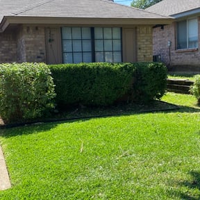 Bush Trimming by Tansol LLC reviewed on December 9, 2022