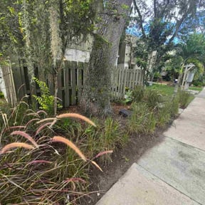 Leaf Removal by DmW Lawn care reviewed on September 14, 2025