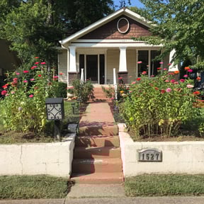Bush Trimming by 413 landscaping reviewed on August 20, 2025