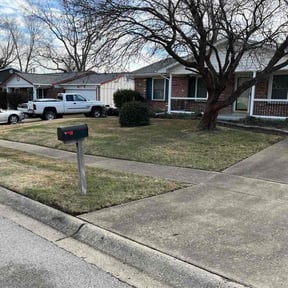 Leaf Removal by TNT landscaping &amp; Lawncare llc reviewed on December 23, 2025