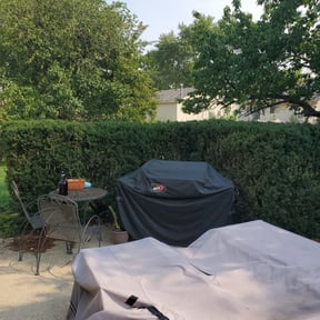 Bush Trimming by LELC, LLC reviewed on August 21, 2025