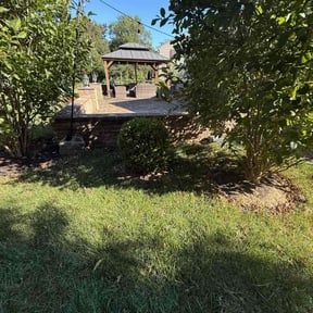 Flower Bed Weeding by Landscaping Services reviewed on November 9, 2025