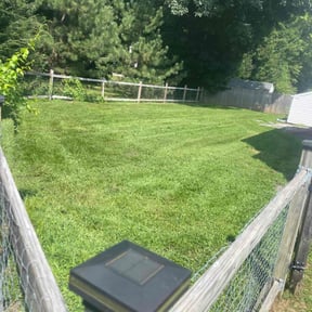 landscape maintenance by Jimis Rose Property Services LLC reviewed on November 23, 2025