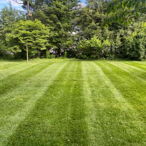 lawn service by Ed&#039;s landscaping reviewed on August 21, 2025