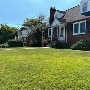 residential landscaping by Splendid Grass Lawn Inc reviewed on November 19, 2025