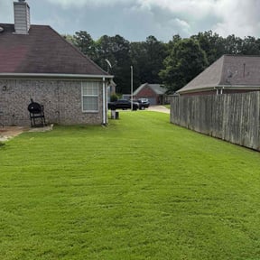 yard maintenance by Corey&#039;s Cuts Lawncare LLC reviewed on July 29, 2023