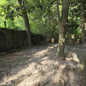 Leaf Removal by Triway tree service and lawn  reviewed on September 23, 2025