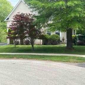 yard service by Calleigh's Enterprise reviewed on August 21, 2025