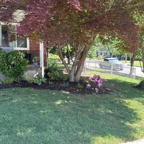 lawn care by Inspired Visions Turf Fence And Landscaping LLC reviewed on August 15, 2025