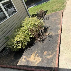 Flower Bed Weeding by R Nest, LLC reviewed on August 29, 2026