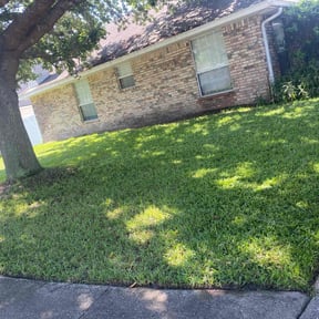 yard care by MAKE Lawnster reviewed on November 20, 2025