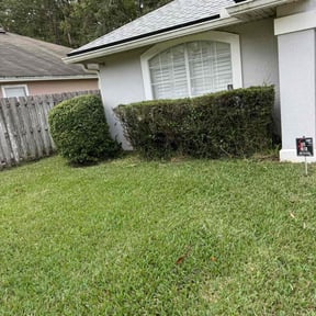 Bush Trimming by APHS Incorporated reviewed on August 15, 2025