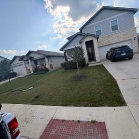 Bush Trimming by Hotland lawn care reviewed on May 31, 2026