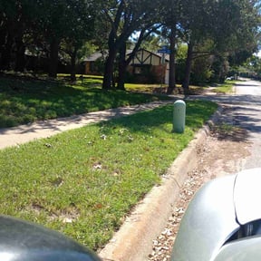 Bush Trimming by Lawn Busters LLC reviewed on August 17, 2025