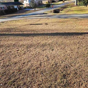 Leaf Removal by EZ Improvements reviewed on August 16, 2026