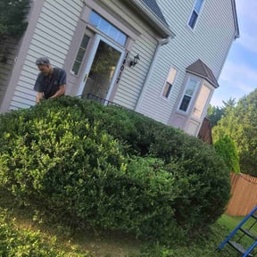 Bush Trimming by Pro cuts reviewed on August 19, 2025