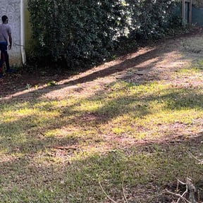 Bush Trimming by Lonestar Lawn Care reviewed on August 18, 2025