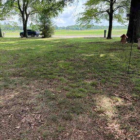 Leaf Removal by EDDY'S TREE SERVICES LLC -LAWN CARE reviewed on July 11, 2026