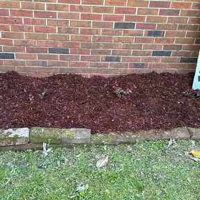 Flower Bed Weeding by Their Is Nothing We Can't Do Services reviewed on August 16, 2025