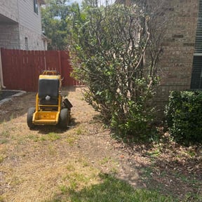 Bush Trimming by Grant  Home and Lawn reviewed on August 15, 2025