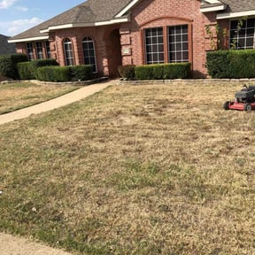 Bush Trimming by J&amp;W Luxury Lawn Care reviewed on April 6, 2023