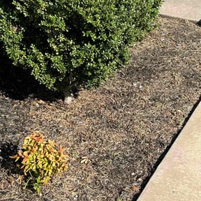 Flower Bed Weeding by Woodside Lawn Care and Landscaping  reviewed on November 10, 2025