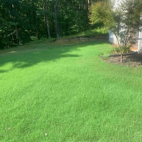 landscape maintenance by Landscape Services by: Eric Mayorga reviewed on August 16, 2025