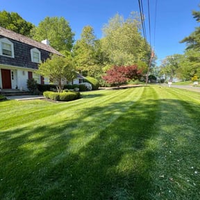 yard maintenance by M &amp; F Landscaping Services LLC reviewed on December 30, 2025