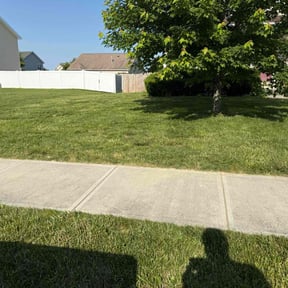 turf care by Landaeta &amp; Gamero Investments reviewed on September 25, 2021