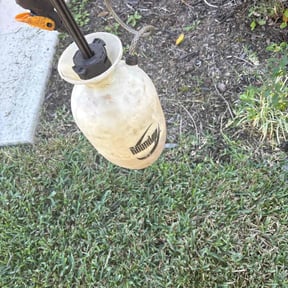 Flower Bed Weeding by Jae The Gardener reviewed on October 23, 2025