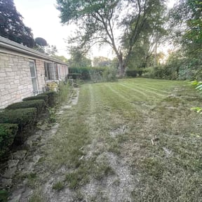 Bush Trimming by Phillip Landscape reviewed on October 20, 2025