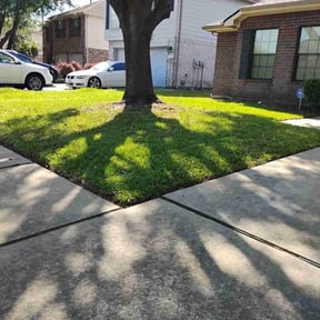 yard maintenance by José Peraza All House Service reviewed on March 6, 2024