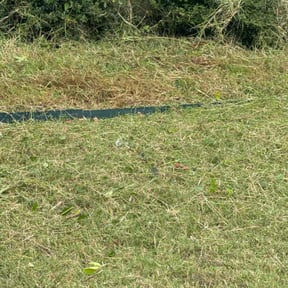 Flower Bed Weeding by L&amp;D Lawn Care Inc. reviewed on May 23, 2025