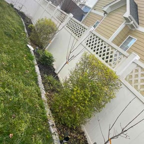 Bush Trimming by Titan Apex, LLC reviewed on March 8, 2026