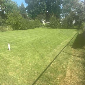 yard care by Clear landscapes llc reviewed on August 17, 2025