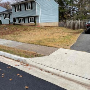 Leaf Removal by B&SS reviewed on August 14, 2025