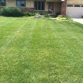 turf care by Bubbas lawn service/car reviewed on August 1, 2024